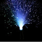 POPLOVE™ - Colorful LED Fiber Optic Lights Browseposh 