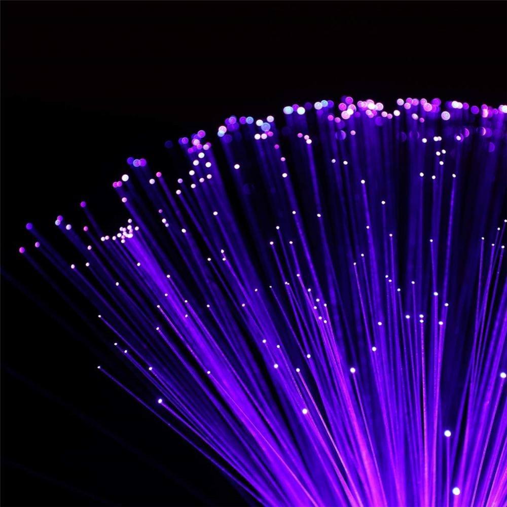 POPLOVE™ - Colorful LED Fiber Optic Lights Browseposh 